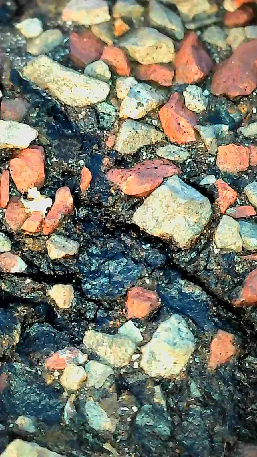 Close-up of shingle granules and exposed asphalt after a hail storm